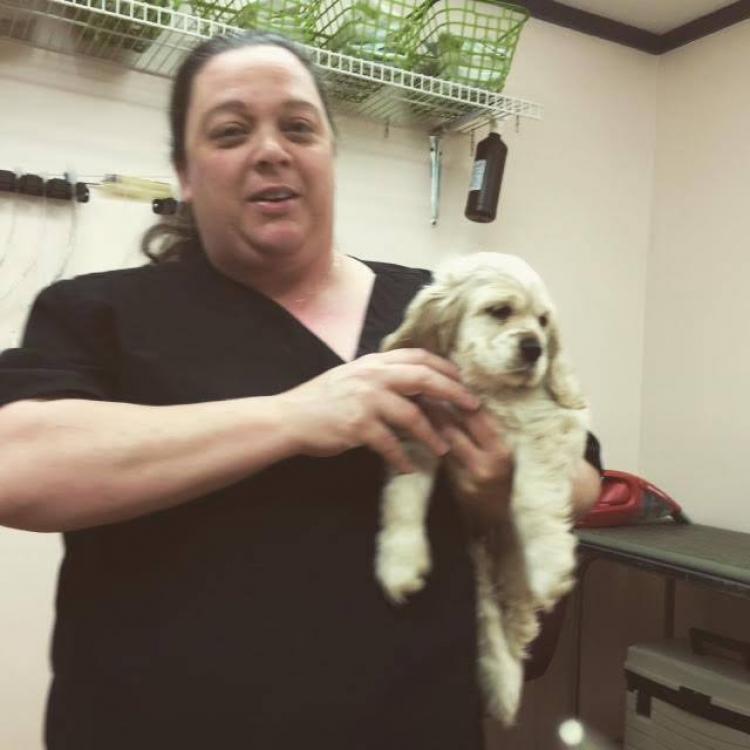 All About Pets Travelers Rest, SC